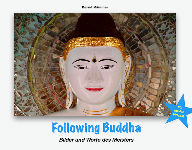 «Following Buddha«
