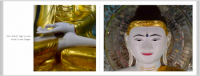 «Following Buddha«