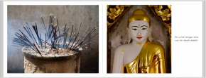 «Following Buddha«