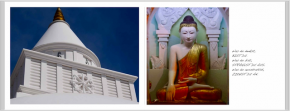 «Following Buddha«